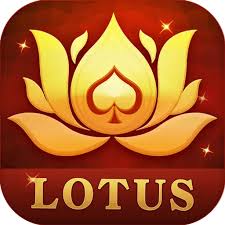 teen patti orchid download download